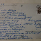 Stina Sunesson: Aikainen kevät, väripk, p. 1980 Suomeen - pikkukuva 2