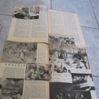2 HAKKAPELITTA LEHTEÄ v 1943 & 1944 - pikkukuva 2