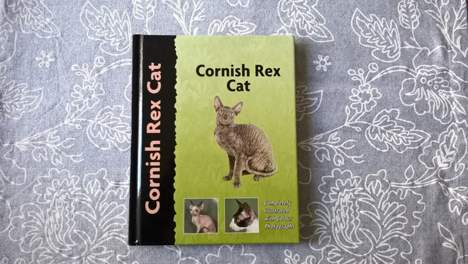 Cornish Rex Cat - Eve Denise Jones  - englanninkielinen