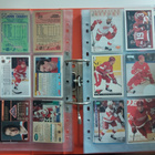 Detroit Red Wings 243 kpl - pikkukuva 4