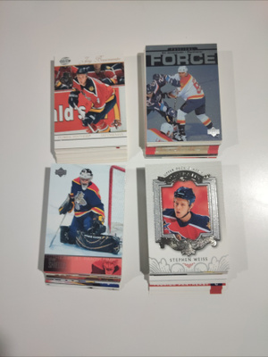 Florida Panthers 95kpl