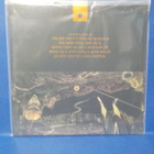 ORNE - CONJURATION BY THE FIRE M/M 2LP - pikkukuva 2