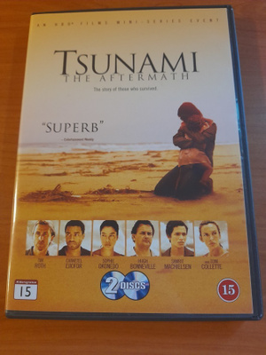 Tsunami The Aftermath