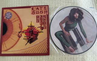 Kate Bush - The Kick Inside - Harvinainen kuvalevy!!!