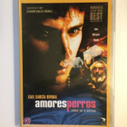 Amores Perros - rakkaat koirat (2003) DVD (UUSI) - pikkukuva 1