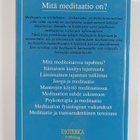 Lauri Rauhala : Mitä meditaatio on - pikkukuva 2