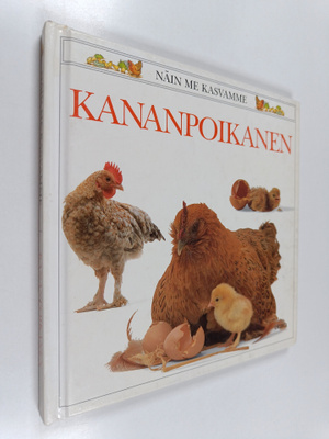 Jane Burton : Kananpoikanen