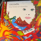Ciccada: The Finest of Miracles 2014 LP HARVINAINEN - pikkukuva 1