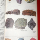 D.C. Almond : Rocks, Minerals and Crystals  1979 1.p. - pikkukuva 2