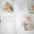 Beatrix Potter Petteri Kaniinin tarinat - pikkukuva 3