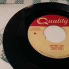 Chuck Berry sinkku - pikkukuva 2
