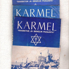 Israel, 2 x esite, kirje, kortti ja 3 x Karmel-lehti. - pikkukuva 4