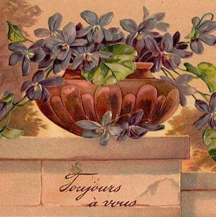 KUKKIA / Suunnattoman kauniit kohopainetut orvokit. 1900-l.