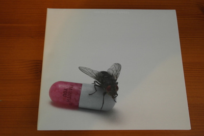 Red Hot Chili Peppers:I'm With You CD
