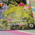 VIHERPIHA-LEHTI 6 / 2016 - pikkukuva 3