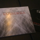 Mikko Helenius & Antti Vuori Ensemble / Vaivauksia CD - pikkukuva 1