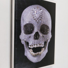 Damien Hirst : For the Love of God - the making of the di... - pikkukuva 1