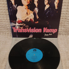 Transvision Vamp Pop Art lp - pikkukuva 2