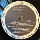 Various - Buzz lp - pikkukuva 4