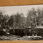 luovutettu alue, lampi metsikössä, Käkisalmi? -kulkenut 1935 - pikkukuva 1