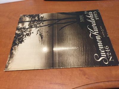 SUOMEN KUVALEHTI 46/1925 HYVÄ