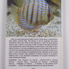 Herbert R. Axelrod : All about discus - pikkukuva 2