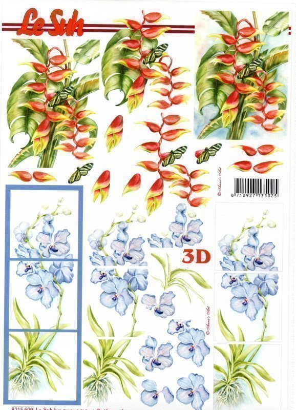 3D °°HIENOT SINISET & PUNAISET KUKAT°°