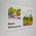 K. A. Kalevi Miettinen : Umbo Wiburgensis : Wiipurin vanh... - pikkukuva 1