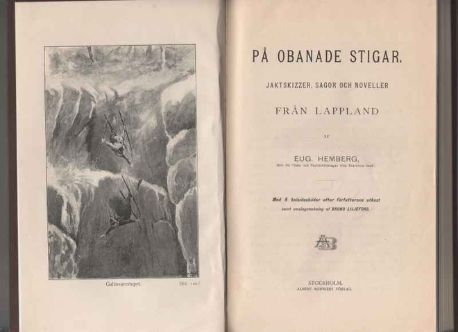 Hemberg, Eug.: På obanade stigar, Stockholm, 1896, 248 sido