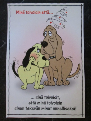 KULKEMATON MARLEENA ANSIO KORTTI EI VIIVOITUSTA TAKANA