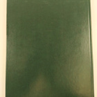 Anthony Burgess : The great cities / New York - pikkukuva 2