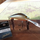 Salmo Hornet Floating SDR 4cm GS - pikkukuva 1