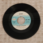 Johnny Takaisin Luontoon 7"Single - pikkukuva 2