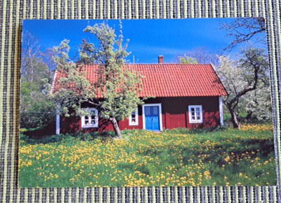 kuvakortti, punainen tupa, voikukkaniitty, uusi