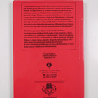 Kiinan modernisaatio : kiinalaisin ominaispiirtein - pikkukuva 2