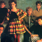EUROGLIDERS :: ABSOLUTELY :: VINYYLI LP 1985 - pikkukuva 5