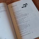 Liisa, Liisa ja Alice – matkakirja - Riitta Oittinen - pikkukuva 4