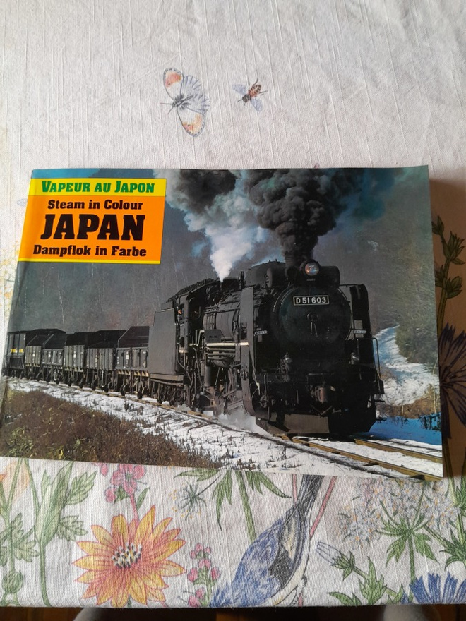vapeur au japon steam in colour