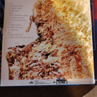 MEGADETH, harvinainen Copper Emerald Marble Lp - pikkukuva 2