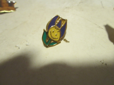 pinssi