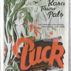 Puck - kaunis kuin keijukainen (DVD) - pikkukuva 1