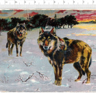 ~ sudet-nelkku, 12 x 8 cm ~ - pikkukuva 1