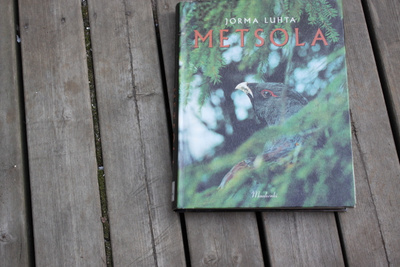 Jorma Luhta Metsola