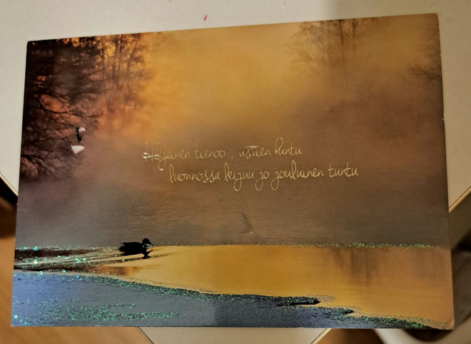 sumuinen maisema, sorsa ui, runo, kulkenut 2022