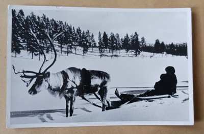 Lappi, poron kyydissä, mv vkpk, p. 1962 + Tubi-jm + erik.l.