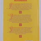 Gerd Ziegler : Parisuhdetarot : ihmissuhteiden peili - pikkukuva 2