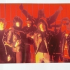 Ramones Animal Boy valokuva 30*45 cm DuBose Signeraus - pikkukuva 1