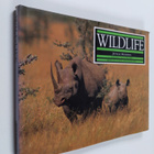 Joyce Robins ym. : Wildlife - pikkukuva 1