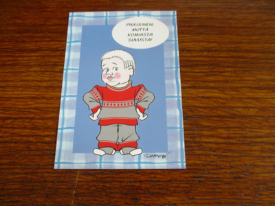 paletti sampo pk pikkunen mutta komiasta suvusta kulku 2007