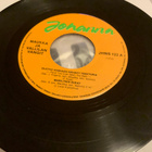MAUKKA & VALLILAN VANGIT: Oletko koskaan…* Pinä * FIN 1980 - pikkukuva 1